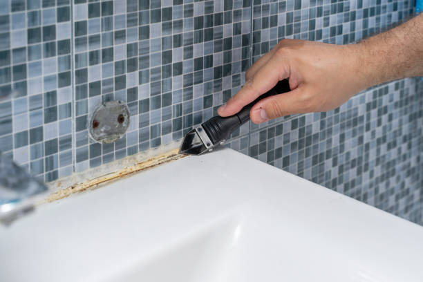 Professional Mold Removal in Suffield Depot, CT